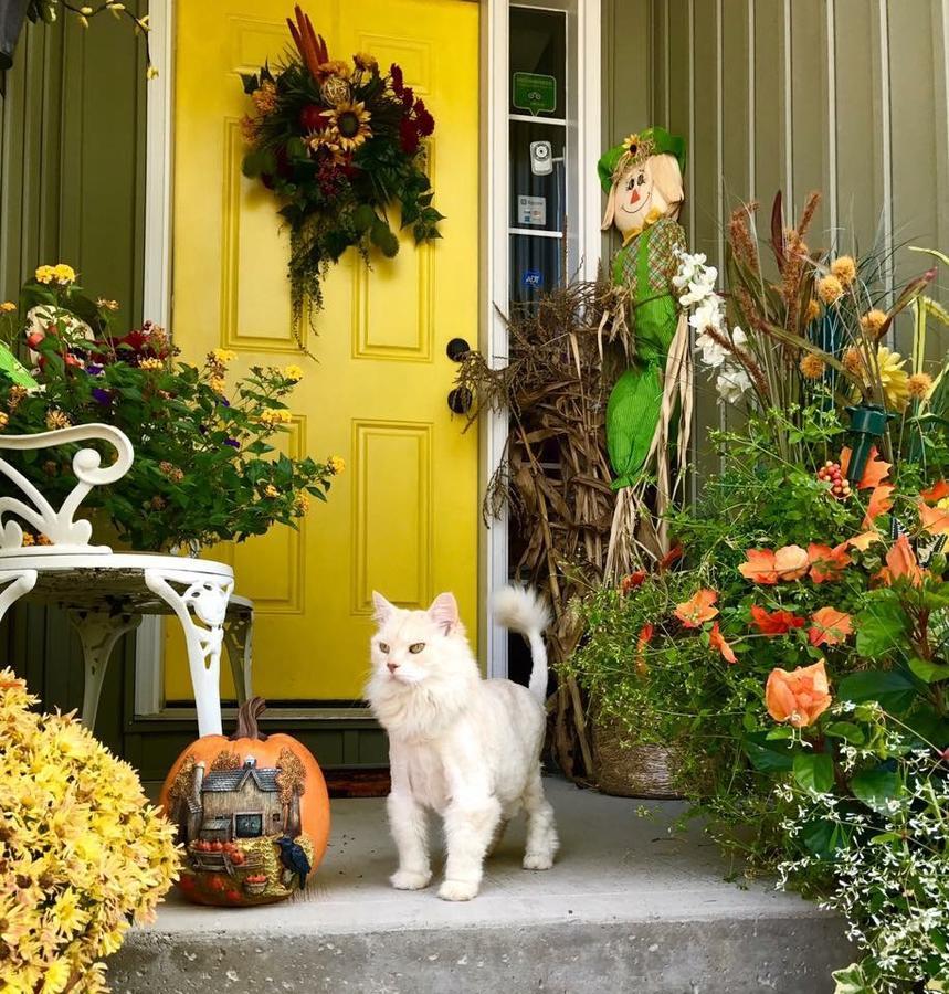 Yellow Door Bed And Breakfast Fort Erie Bagian luar foto