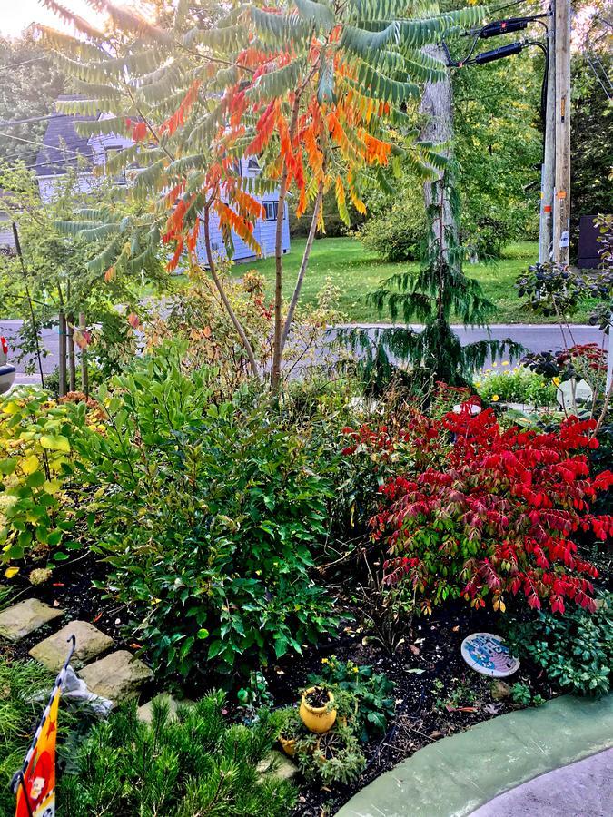 Yellow Door Bed And Breakfast Fort Erie Bagian luar foto